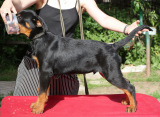 img_8771